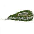 Floristik24 Planter drop moss, vine commemorative floristry 40x20cm