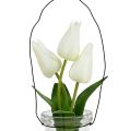 Floristik24 Tulip white in a glass H21cm 1p