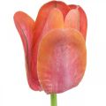 Floristik24 Tulip artificial flower red, orange Artificial spring flower H67cm