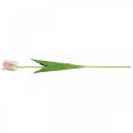 Floristik24 Tulip artificial pink stem flower H67cm