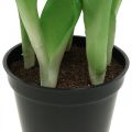 Floristik24 Tulip pink, green in a pot Artificial potted plant decorative tulip H23cm