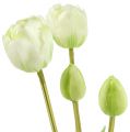 Floristik24 Tulips cream Real-Touch flower decoration L43.5cm 5pcs
