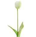 Floristik24 Tulips cream Real-Touch flower decoration L43.5cm 5pcs