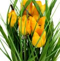 Floristik24 Tulips in a yellow pot 30cm