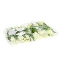 Floristik24 Spring decoration, artificial tulips, silk flowers, decorative tulips green/cream 12 pieces