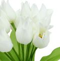 Floristik24 Tulip bush white 30cm