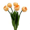 Floristik24 Tulip bouquet apricot 43cm