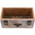 Floristik24 Planter drawer concrete antique wood look 22.5x13x9cm