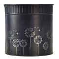 Floristik24 Planter Dandelion Flowerpot Black Ø15.5cm H15.5cm