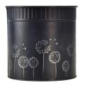 Floristik24 Planter Dandelion Flowerpot Black Ø9.5cm H11cm