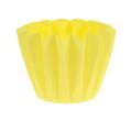 Floristik24 Pot Adonis Yellow 14cm 20pcs