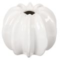 Floristik24 Pumpkin ceramic vase, white, home decoration, 15cm