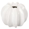 Floristik24 Pumpkin decorative vase, glossy, autumn decoration for living room, 19cm