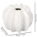 Pumpkin decorative vase, glossy, autumn decoration for living room, 19cm | Floristik24.ie