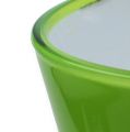 Floristik24 Plastic Vase “Fizzy” Apple Green, 1pc