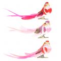 Floristik24 Bird on clip pink, pink 15cm 12pcs