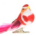 Floristik24 Bird on clip pink, pink 15cm 12pcs