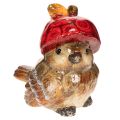 Floristik24 Decorative bird figurine with red apple cap, autumn decoration, 13cm