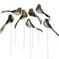 Spring, bird on wire, flower decoration white, natural colors H4.5cm 12pcs