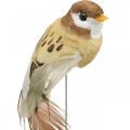 Floristik24 Spring decoration, mini birds, decorative birds on wire brown, beige H2.5cm 24pcs