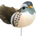 Floristik24 Bird decoration, birds on wire, spring decoration blue, brown H3.5cm 12pcs