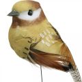 Floristik24 Spring, bird on wire, deco birds natural colors H7.5cm 12pcs