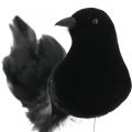 Floristik24 Pigeons on a wire, wedding decoration, pigeons black H7cm 4pcs