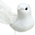 Floristik24 White doves, wedding, decorative doves, birds on wire H6cm 6pcs