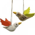 Floristik24 Deco birds wood for hanging bird spring decoration 10.5cm 6pcs