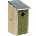 Floristik24 Nesting box for hanging, nesting aid for small birds, bird house, garden decoration natural, green H26cm Ø3.2cm