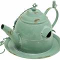 Floristik24 Birdhouse teapot for hanging mint green H15cm