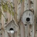 Decorative Bird House Wooden Decorative Nesting Box with Natural Bark White Washed H23cm W25cm