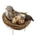 Floristik24 Bird&#39;s nest on a stick Ø7cm L24cm 6pcs