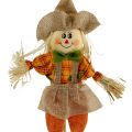 Floristik24 Scarecrow on stick 42cm 4pcs