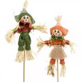 Floristik24 Scarecrow to decorate on the stick Herbstdeko 24St