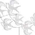 Floristik24 Swallows, table decorations, bird decorations to place White, natural colors Shabby Chic H33.5cm W32.5cm