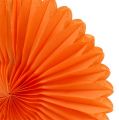 Floristik24 Honeycomb paper flower orange Ø20cm 3pcs