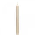 Floristik24 PURE wax candles, stick candles, cream Sahara 250/23mm, natural wax, 4 pieces