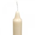 Floristik24 PURE wax candles, stick candles, cream Sahara 250/23mm, natural wax, 4 pieces