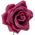 Floristik24 Wax roses deco roses wax pink Ø8cm 12p
