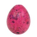 Floristik24 Quail Eggs Pink 3.5-4cm Blown Eggs Easter Decoration 50pcs
