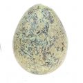 Floristik24 Quail eggs assortment green, nature 3cm 62pcs