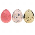 Floristik24 Quail eggs assortment pink, pink, natural 3cm 62pcs