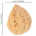 Walnuts for decoration, natural product, 3-4cm, 300g | Floristik24.ie