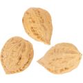 Walnuts for decoration, natural product, 3-4cm, 300g | Floristik24.ie
