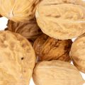 Walnuts for decoration,