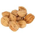 Floristik24 Walnuts, a natural product for table decoration and DIY projects. Natural walnuts, 4-5cm, 300g.