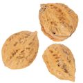 Walnuts, a natural product for table decoration and DIY projects. Natural walnuts, 4-5cm, 300g. | Floristik24.ie