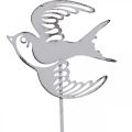 Floristik24 Swallow decoration, wall decoration made of metal, birds to hang white, silver shabby chic H47.5 cm