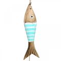 Floristik24 Maritime decorative hanger wooden fish for hanging turquoise L123cm